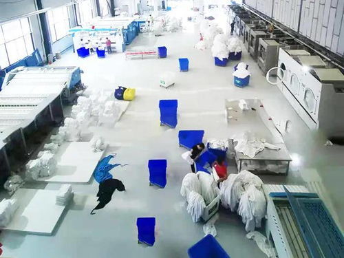 蒸汽源机选对，洗涤厂高效省钱的关键 聚焦建筑物清洁服务